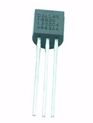 DS18B20 sensor